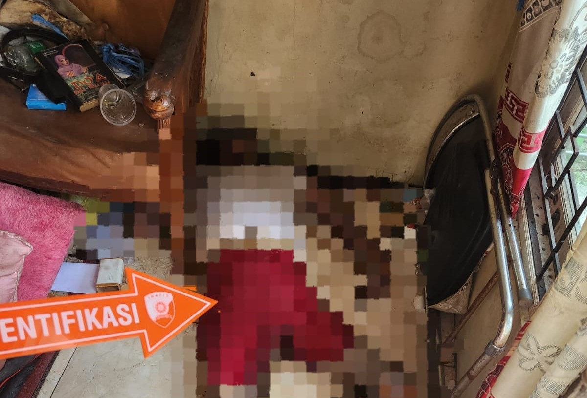 WhatsApp Image 2025-01-15 at 20.39.15