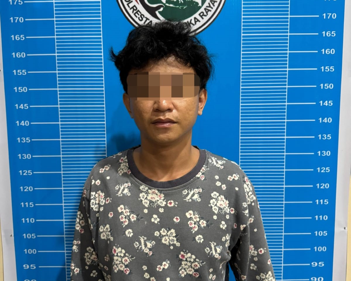 WhatsApp Image 2025-02-09 at 05.56.17