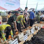 37b01dbe-eee1-4060-983c-ea45a1c75d9b-768x672