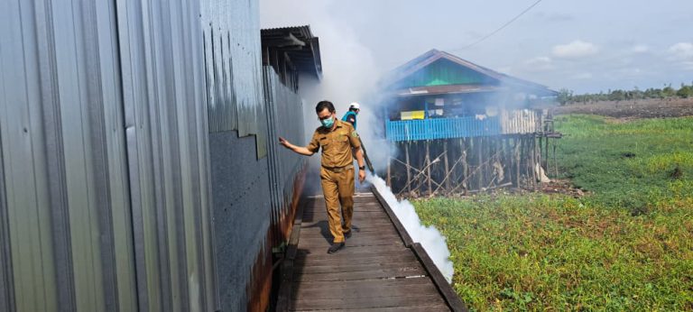 WhatsApp-Image-2026-01-26-at-2.51.42-PM-768x346